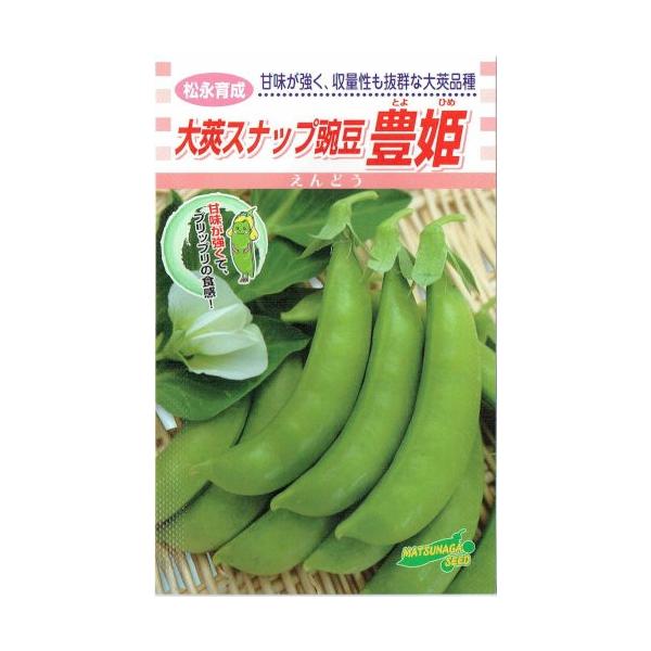 ic@䰃XibvGhE@LP@20ml