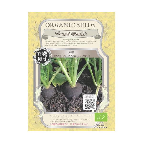 yL@qz ۑ卪 3g(420)yXΉz