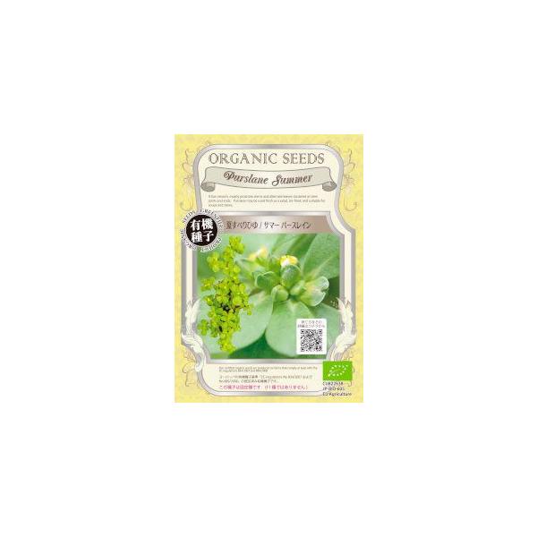 yL@qz ăXxq/T}[p[XC 0.3g(650)yXΉz