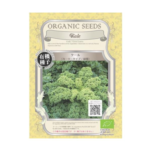 青汁に使用される葉野菜（不結球キャベツ）で、育てやすい健康野菜です。主に冬場に収穫します。