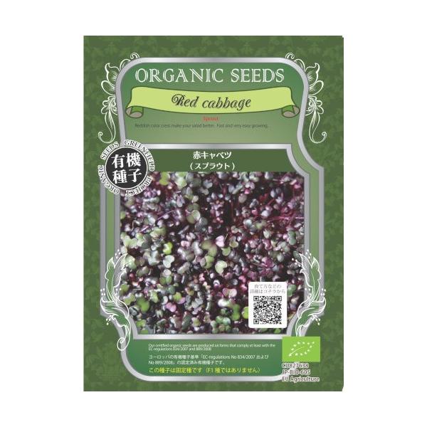 yL@qz XvEgEԃLxc 11(3200)yXΉz