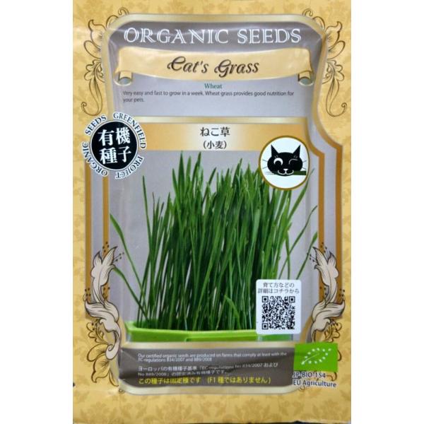 yL@qz˂ij25(600)yXΉz