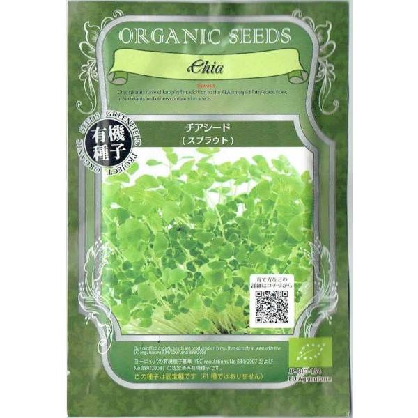 yL@qz XvEgE`AV[h@11(8800)yXΉz