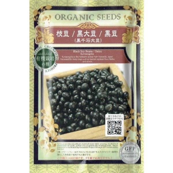 有機種子】 枝豆/黒大豆/黒豆（黒千石大豆） 約100粒 【郵送対応 