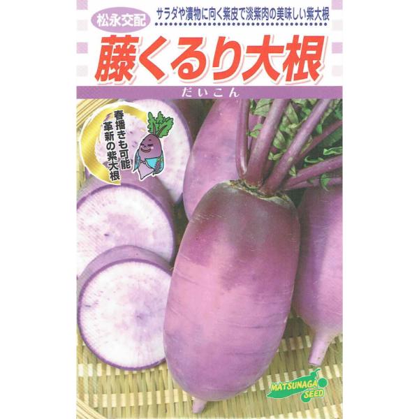 ・晩抽性があり春まきも可能な、播種期の幅が広い紫ダイコンです。・根は中太りで丸みのあるふくよかな形状で、鮮やかな紫の外皮と、内部も全面にほんのりと紫色に着色します。・肉質はシャキシャキと歯切れがよく、甘みも強いためサラダ等の生食から、漬物や...