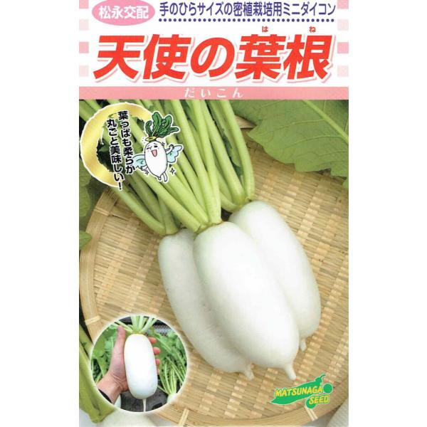 松永種苗 ダイコン 天使の葉根（はね）のタネ[内容量：2.5ml]