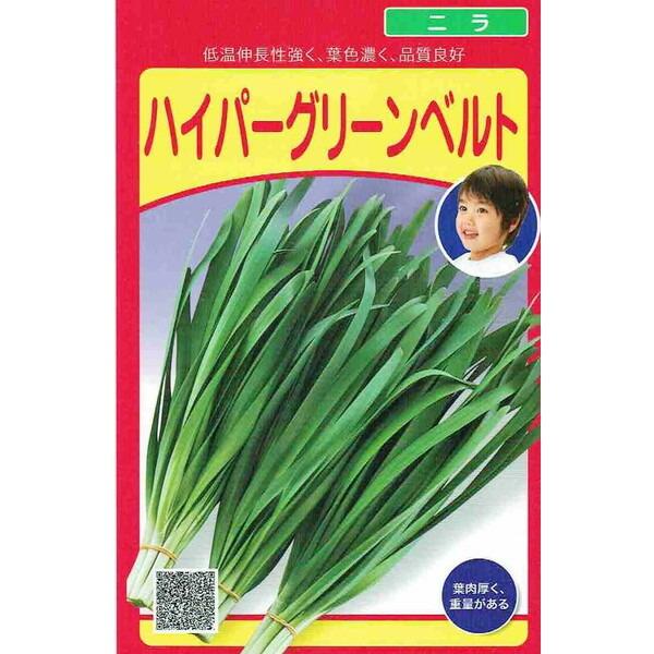 c@j@nCp[O[xg@4ml yXΉzyi햼FnCp[xg_o^ԍF23836_COo֎~z