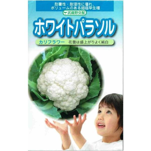 c@Jt[@zCgp\@1mlyXΉz