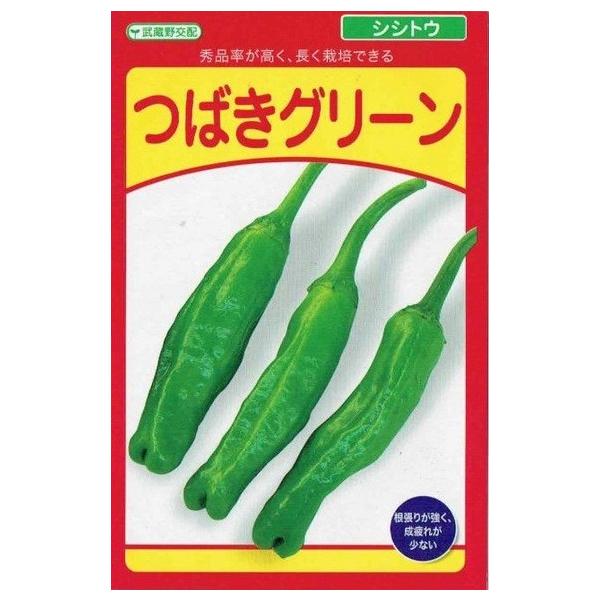 c@VVgE@΂O[@1mlyXΉz