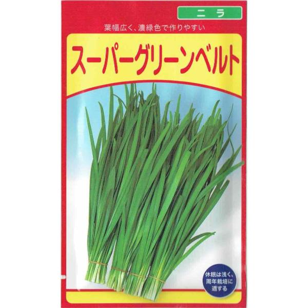 ニラ 苗」の人気商品一覧 | 安い商品を通販サイトから探す - 価格.com