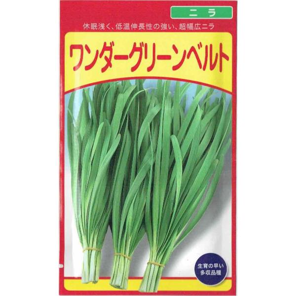 c@j@u_[O[xgṽ^l@4mlyi햼F_[O[xgz