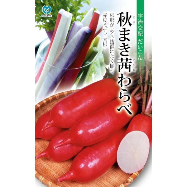 ێ@@H܂ׁ@[eʁF20ml]