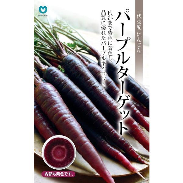 ێ@jW@p[v^[Qbg@R[gq230yXΉz