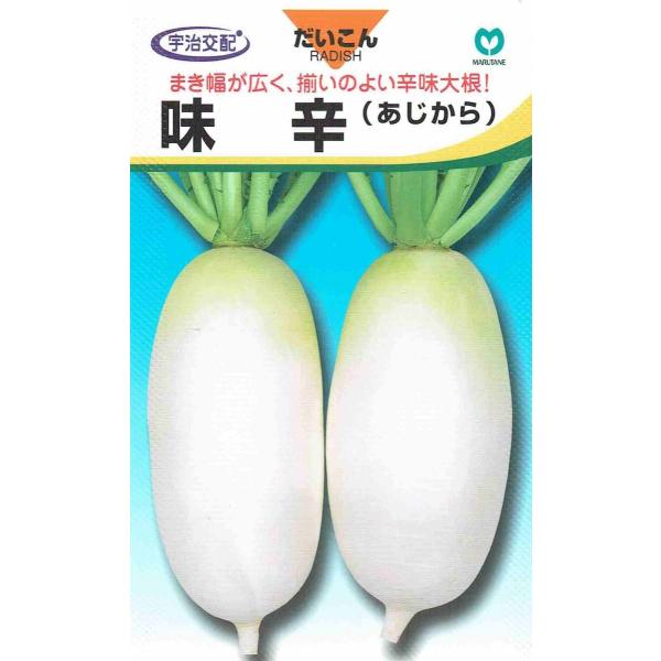 播種後50〜60日で収穫期となり、根長12〜１５cm、根径４〜５cm、根重300〜400g程度になります。葉は濃緑色の板葉で、草勢がおとなしいため、密植栽培が可能です。又、収穫調整も容易です。肉質は緻密で水分が少なく、辛味が強いのでおろしな...