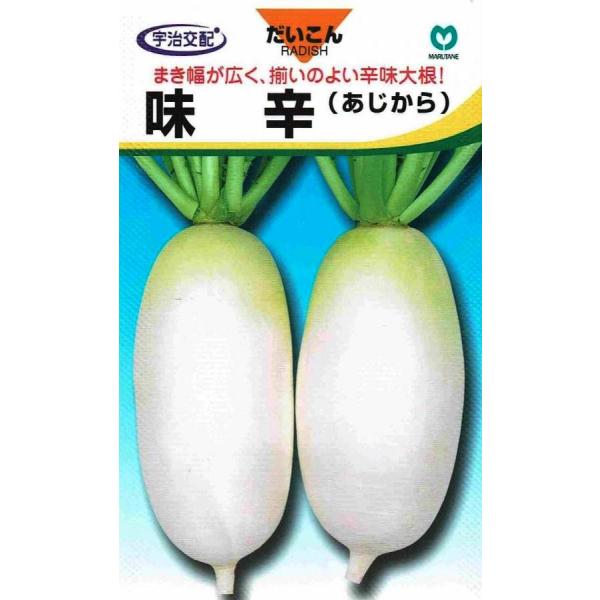 丸種　ダイコン　味辛　（あじから）  20ml　【郵送対応】