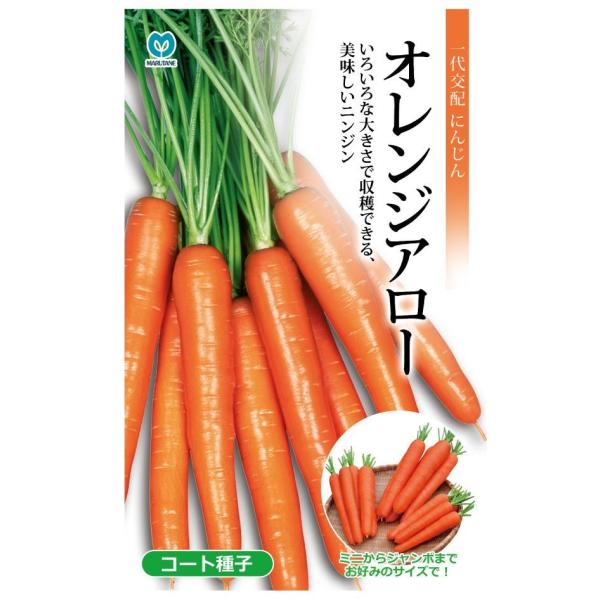 ێ@IWA[lQ@R[gq 260iɂ񂶂EjWj yXΉz