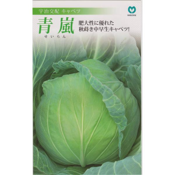 ێ@Lxc ijme:0.6mln