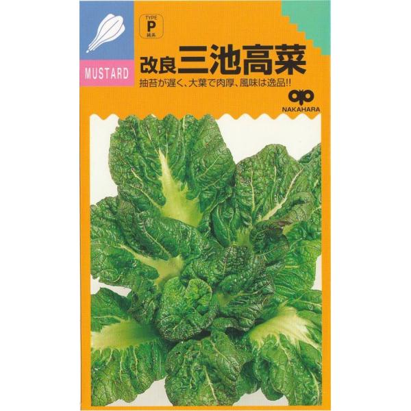 ̎@ǎOr؁i^Jij@10mlyXΉz