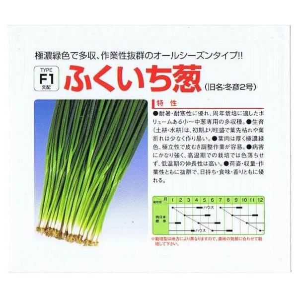 耐暑・耐寒性に優れ、周年栽培に適したボリュームのある小〜中葱専用の多収種。生育（土耕・水耕）は、初期より旺盛で葉先枯れや葉折れは少なく作り易い。葉肉は厚く極濃緑色、極立性で皮むき調整作業が容易。病害にかなり強く、高温期での栽培は色落ちせず、...