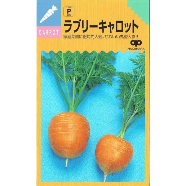 野菜種子のプロが選ぶ おすすめのニンジン品種をランキングで紹介 農業 ガーデニング 園芸 家庭菜園マガジン Agri Pick