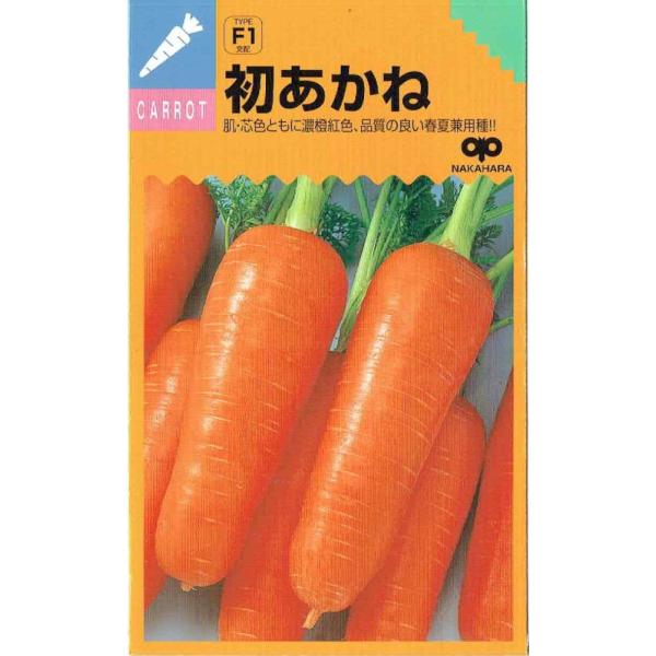 ̎@jW@uˁṽ^l@me:7mln