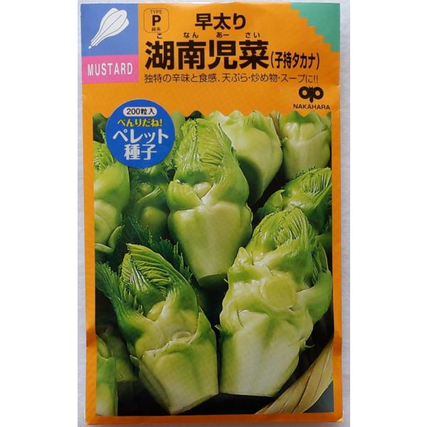 ̎@Γ쎙؁iq^Jij̃^lme:ybgq200n