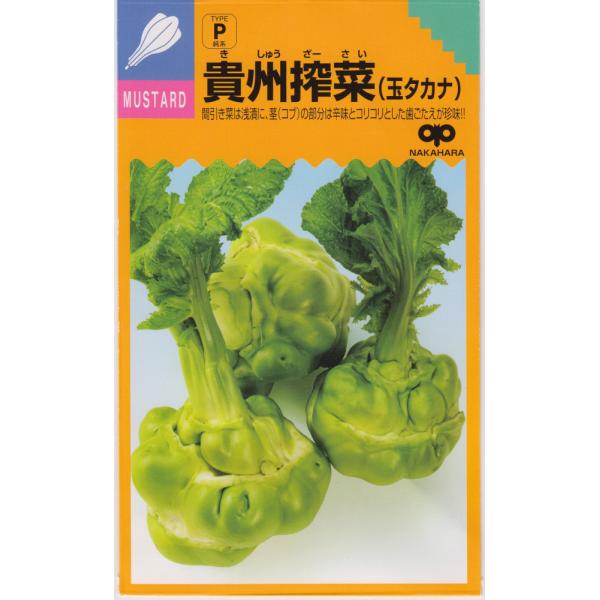 ̎@MB؁iʃ^Jij̃^lme:ybgq200n