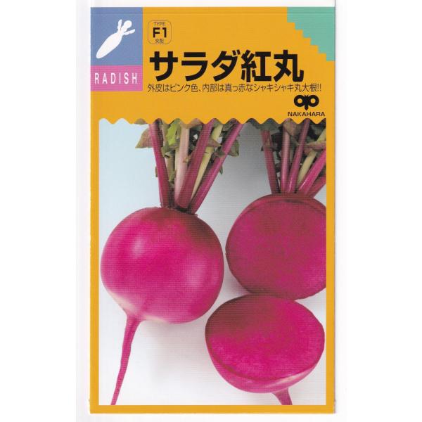 中原採種場 丸大根 サラダ紅丸のタネ[内容量：4ml]