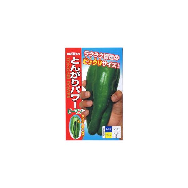 長果型の大果種で着果性は中性。果長15ｃｍ、果重70ｇ前後より収穫期となる。秀品率が高く、収穫幅がある省力型品種。果実は鮮緑色で光沢がある。果肉は3〜4mmと厚く、甘みがあり食味は良好。胎座部が果梗部へまとまるのでタネが少なく食べやすい。一...