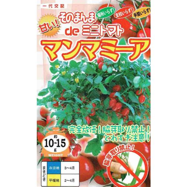 igc@~jg}g@}}~[A@15 yXΉz