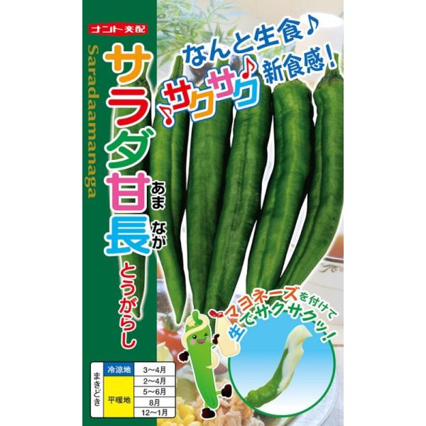 igc@T_ÒƂ炵@20yXΉzyXΉz