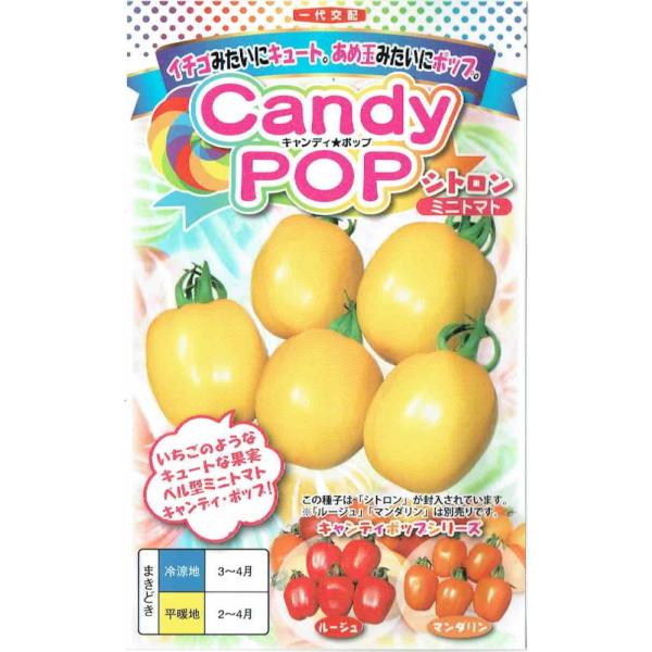 igc@~jg}g@uLfB|bv Vgṽ^l@7