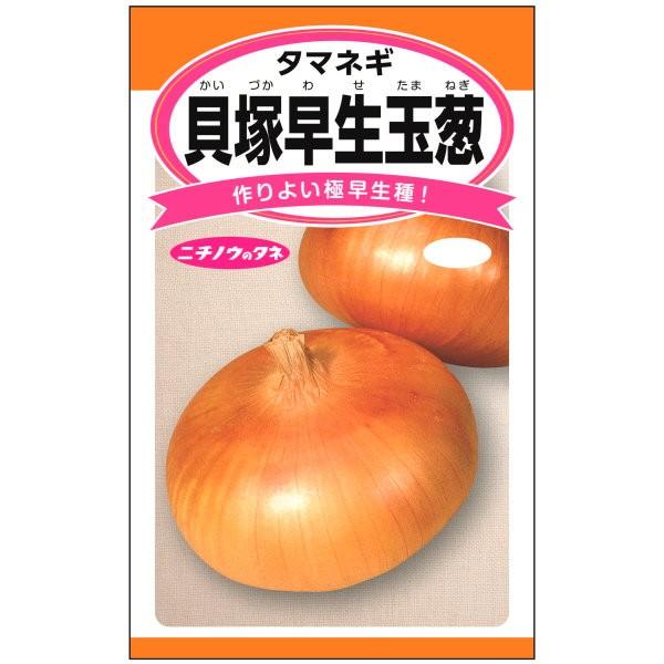 {_Yc@^}lM@LˑʔK@RmlyXΉz