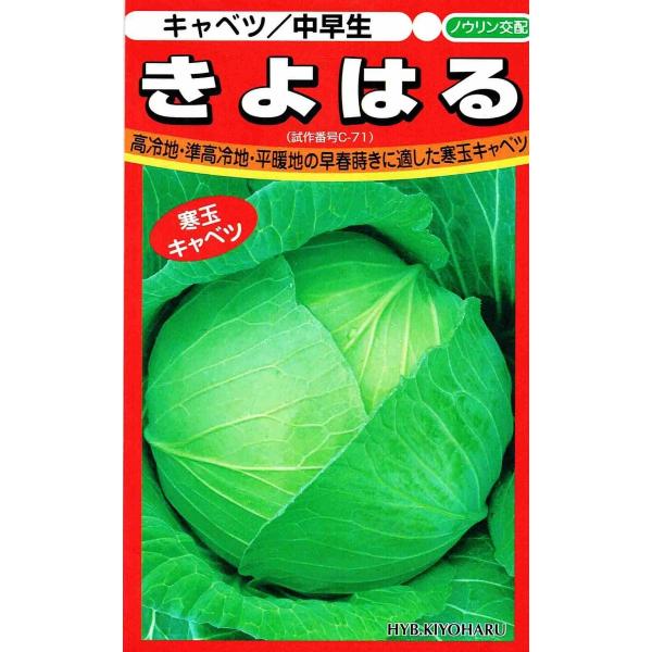 {_ю mEz  Lxc  ͂  100@yXΉz