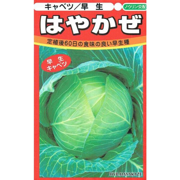 {_ю mEz  Lxc  ͂₩  100@yXΉz