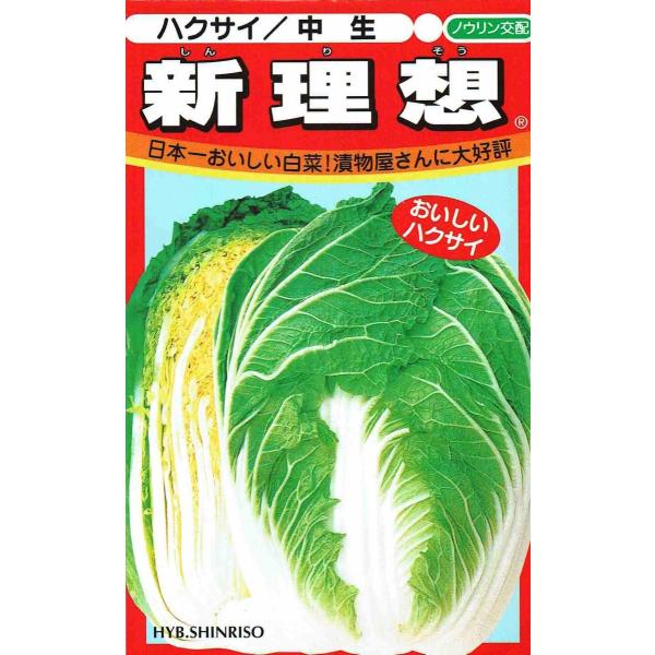 mEz  ؁@Vz@ybgq  100@yXΉz