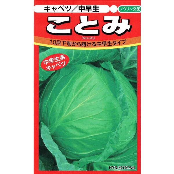 mEz  Lxc  Ƃ  100yXΉz