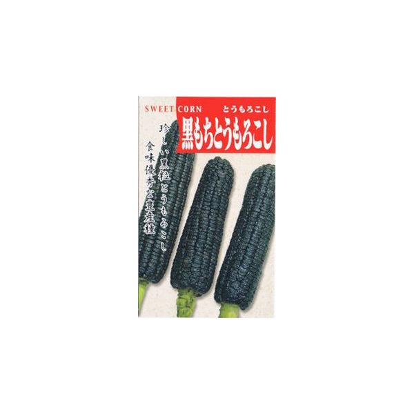 熟すにつれ実が黒く変化する珍しいとうもろこしです。本種は草勢強健で、土質を選ばずによく生育する、早生優良種です。