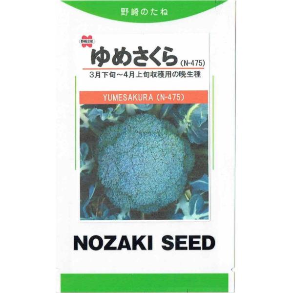 野崎採種場 ブロッコリー ゆめさくら 約100粒【郵送対応 