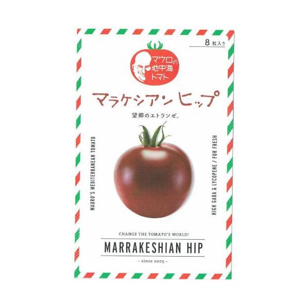 TiebNV[h@}E̒nCg}g@}PVAqbṽ^l [eʁF8]