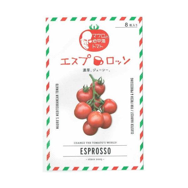 TiebNV[h@}E̒nCg}g@GXvb\̃^l [eʁF8]