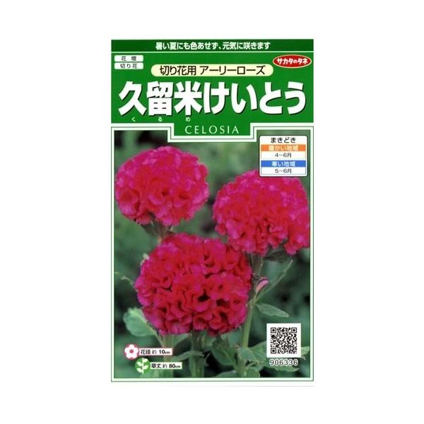 TJ^̃^l@vĂƂE؉ԗp@A[[[Y yXΉz