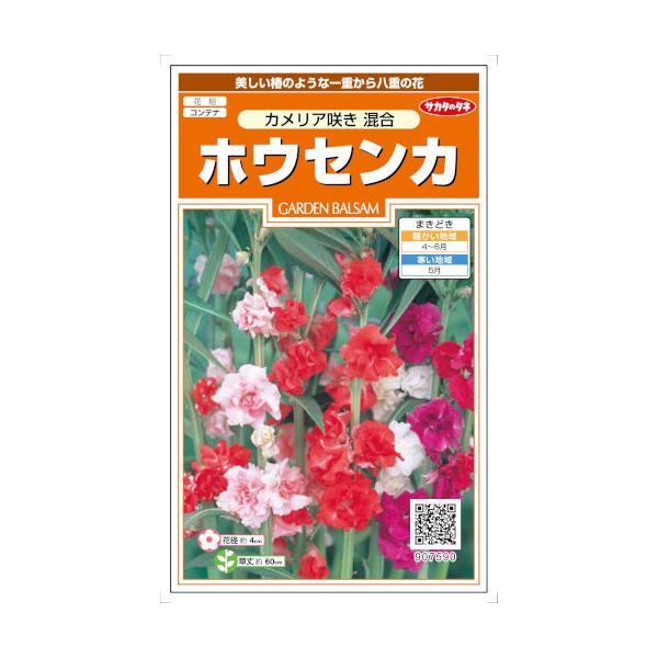 椿 種 Diy 工具の人気商品 通販 価格比較 価格 Com