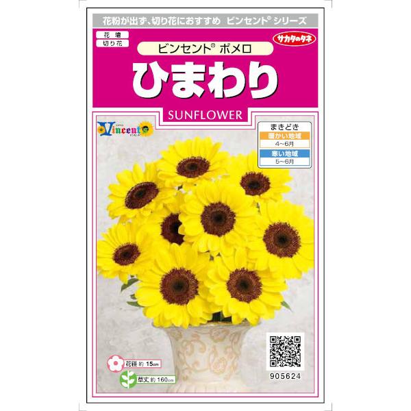 切り花 ひまわり 種 Diy 工具の人気商品 通販 価格比較 価格 Com