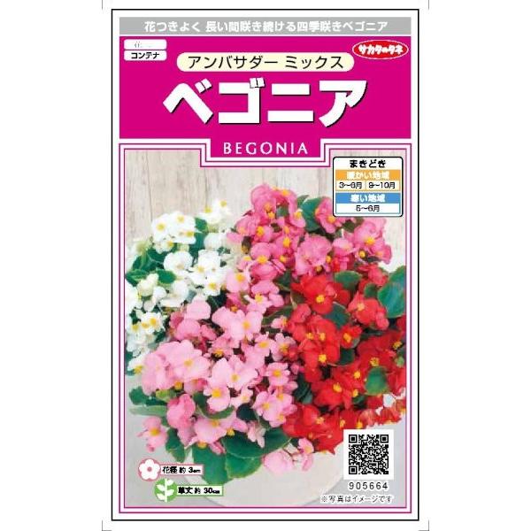 TJ^̃^l@xSjA AoT_[~bNX@30yXΉz