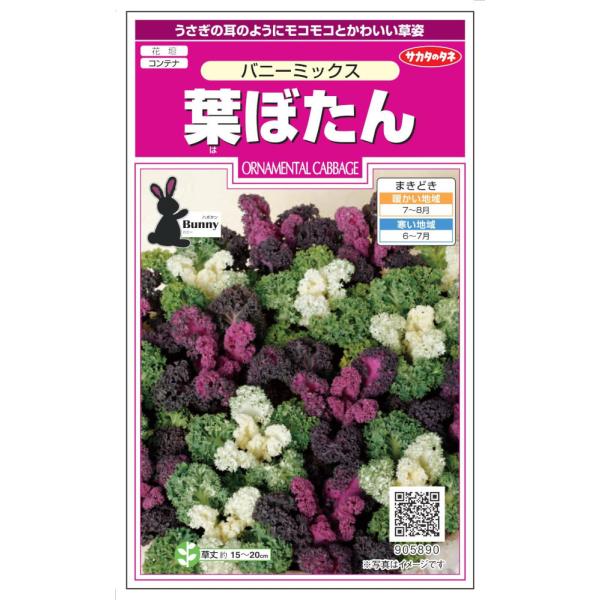 TJ^̃^l@tڂuoj[~bNXṽ^l@0.2ml