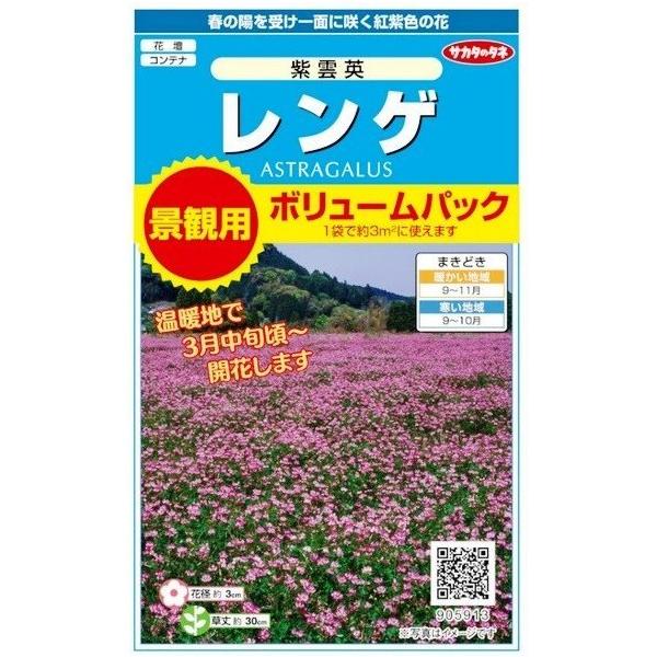 TJ^̃^l@Q@_p@iϗp{[pbN@15gi3ĕjyXΉz