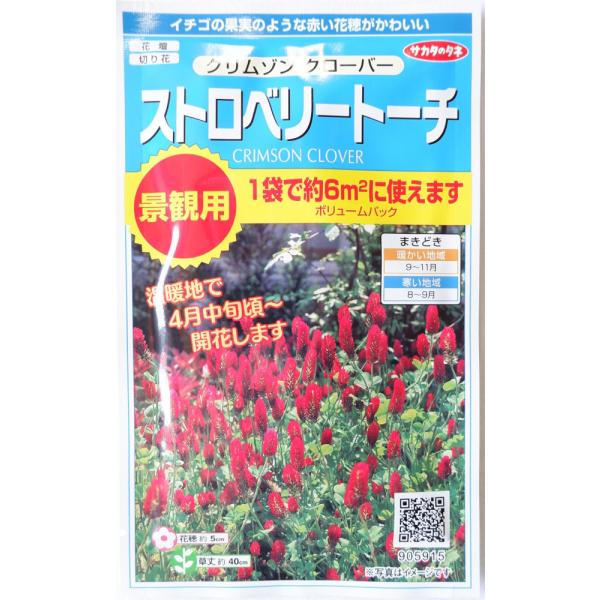 TJ^̃^l@N]N[o[uXgx[g[`ṽ^l@iϗp{[pbN30g