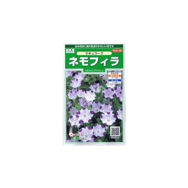 TJ^̃^l@ltBE}L[^ yXΉz