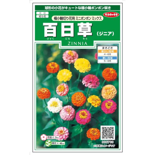 ポンポン 花 種の人気商品 通販 価格比較 価格 Com